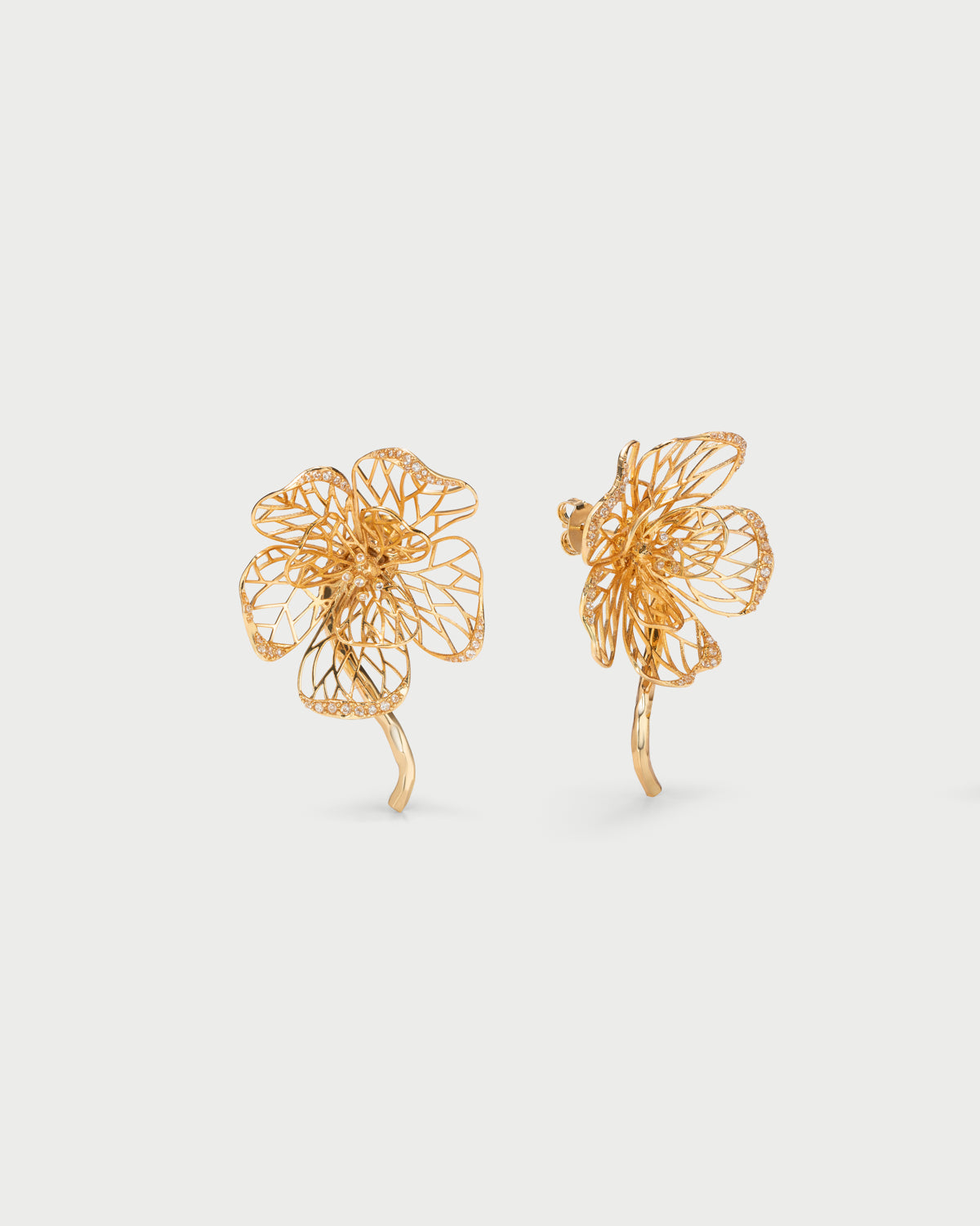 Ume Gold